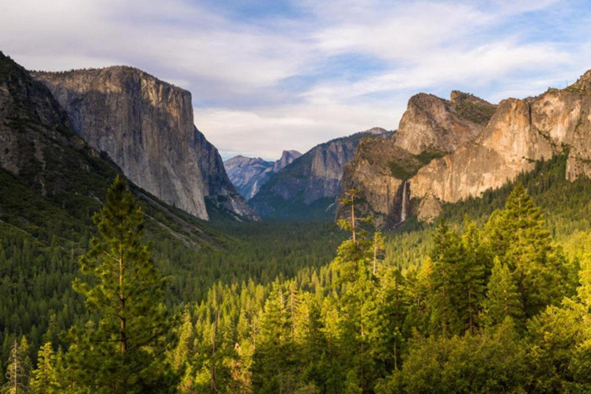 Вилла Cozy Bear South-Inside Yosemite National Park Йосемити-Уэст Экстерьер фото